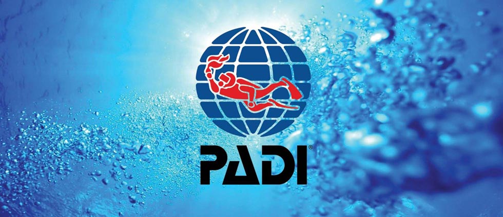 PADI-LOGO