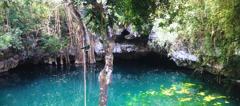 cenote snorkeling tour
