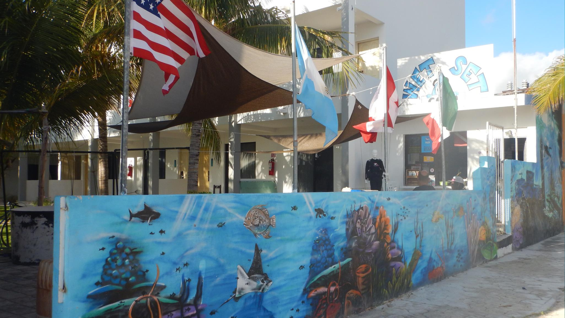 THE DIVE SHOP BACKGROUND