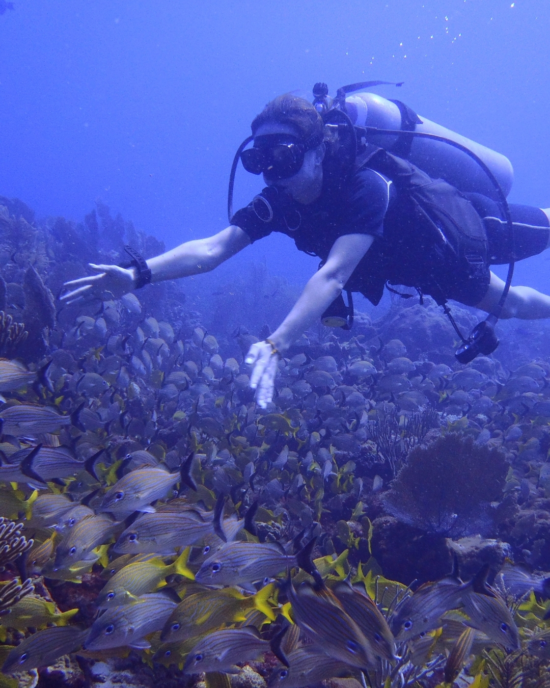 learn to dive page mobile background